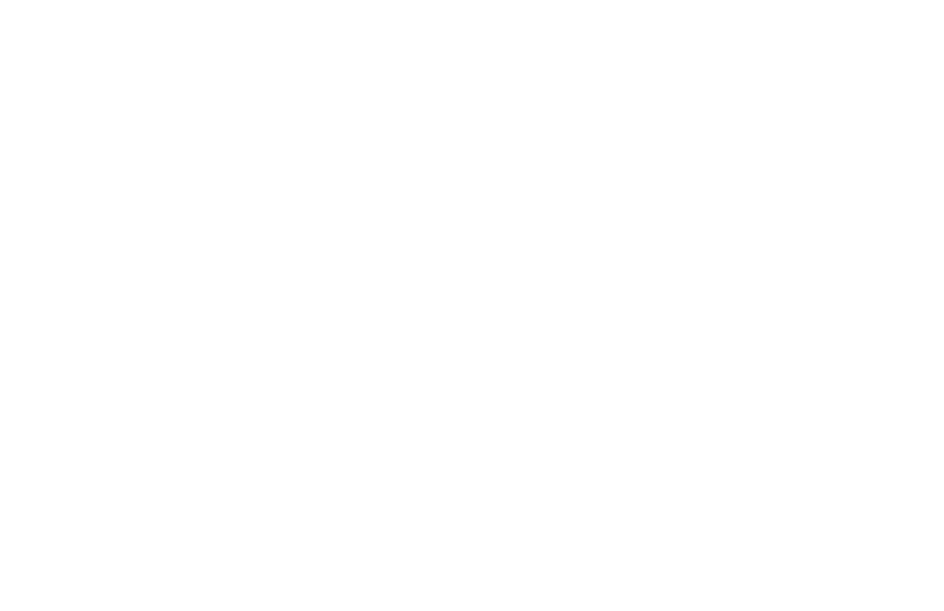 DG logo